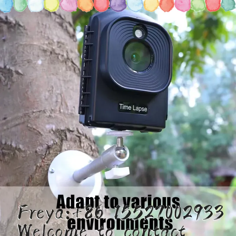 屋外タイムラプス 1080P HD ビデオレコーダー 低照度 - Outdoor Hunting Videos のレビューと価格