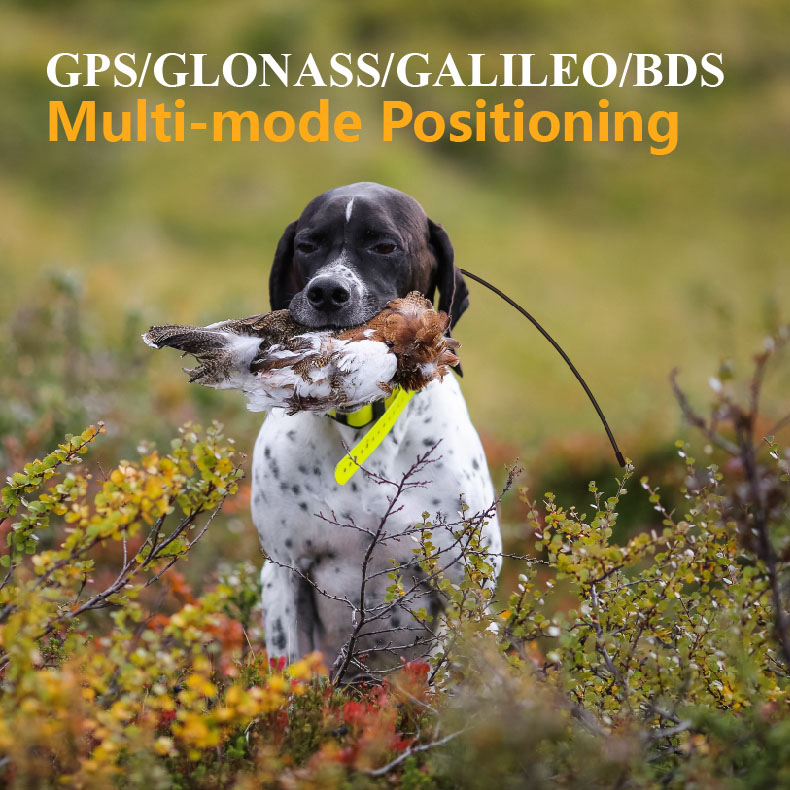 グローバルGPSペットトラッカー、リアルタイム位置情報、防水 - Outdoor Hunting Dog Supply のレビューと価格