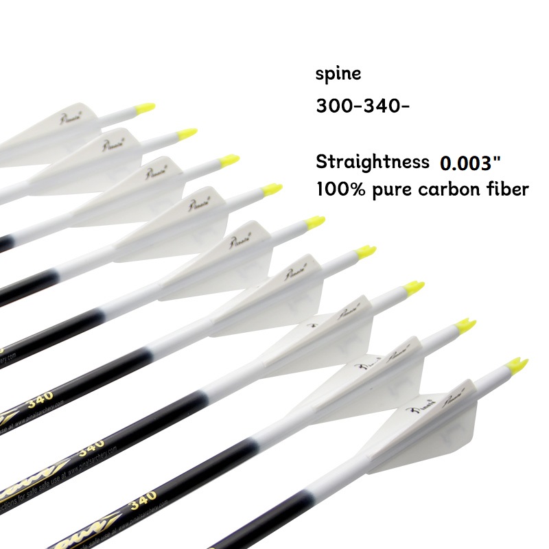 アーチェリー6 12本入り 純カーボン矢 ID 5.2mm  - Hunting Bow Compound のレビューと価格