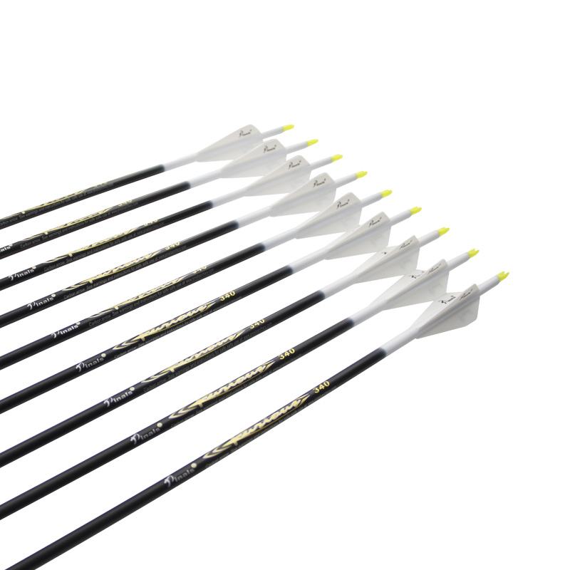 アーチェリー6 12本入り 純カーボン矢 ID 5.2mm  - Hunting Bow Compound のレビューと価格